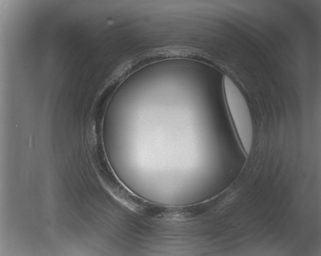 X0000081350254200701111114
