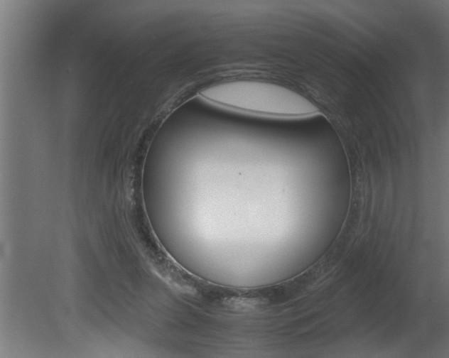 X0000081350255200701111114