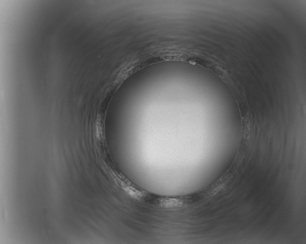 X0000081350287200701111114