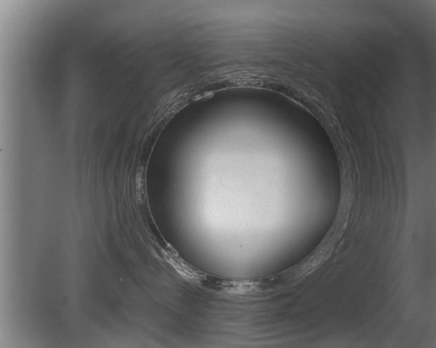 X0000081350288200701111114