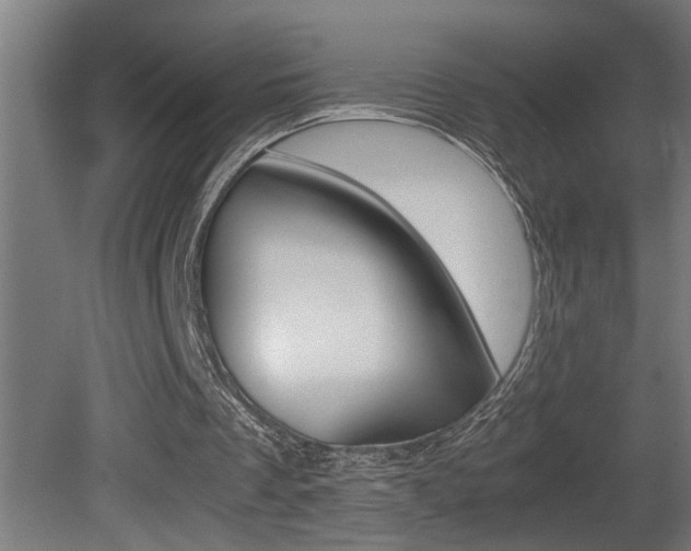 X0000081350289200701111113