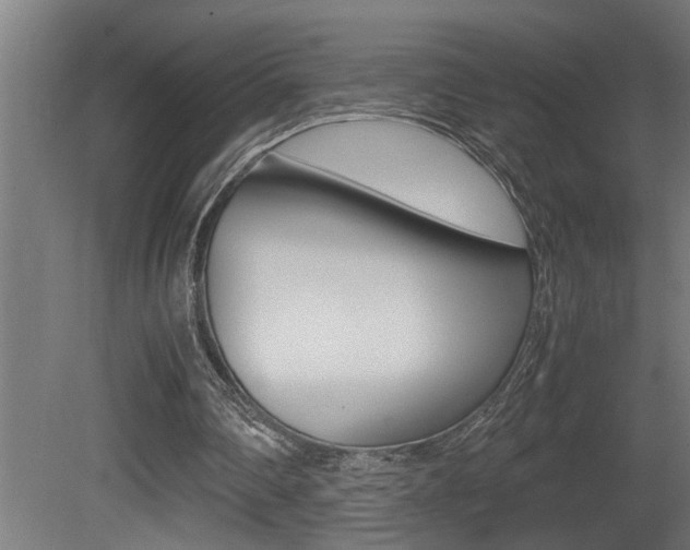 X0000081350290200701111113