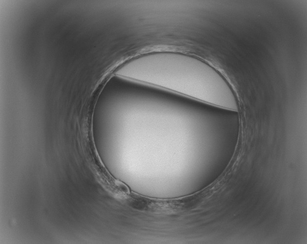 X0000081350297200701111113