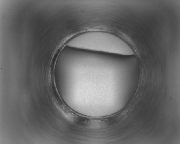 X0000081350298200701111113