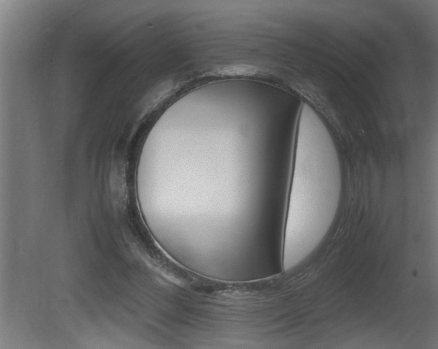 X0000081350300200701111113