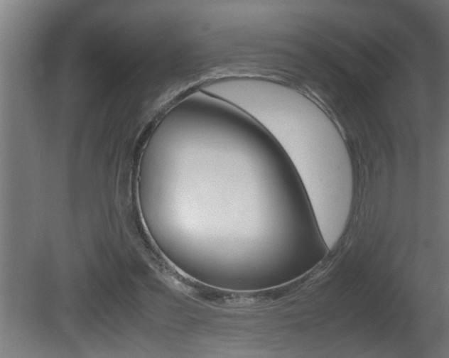 X0000081350301200701111113