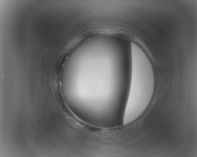X0000081350305200701111113