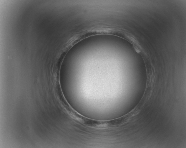 X0000081350309200701111113