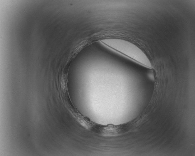 X0000081350335200701111113
