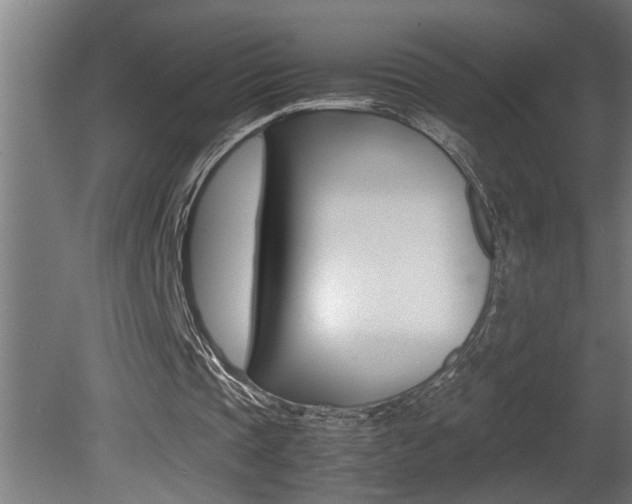 X0000081350337200701111112