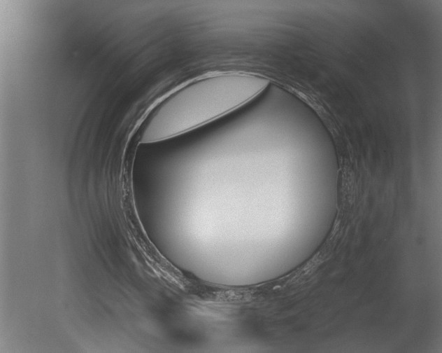 X0000081350338200701111112