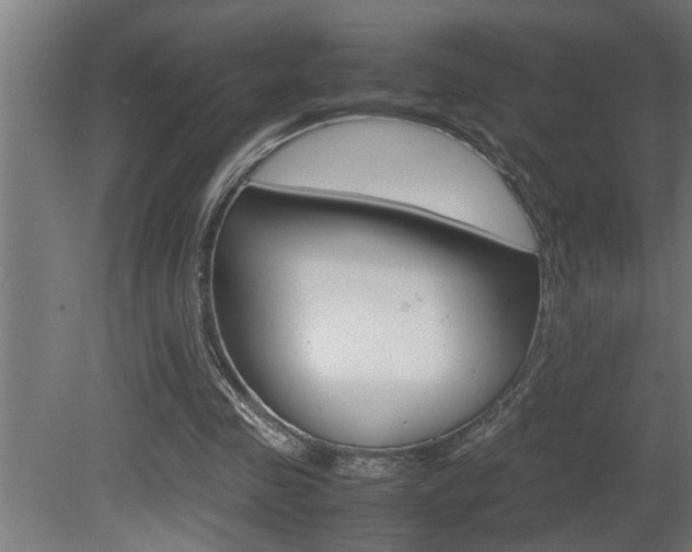 X0000081350341200701111112