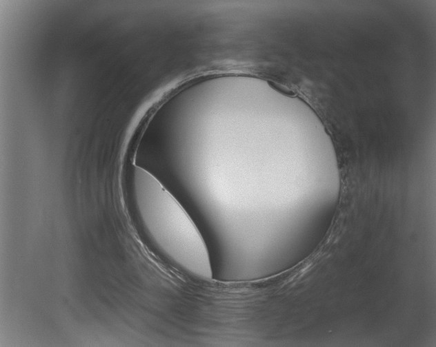 X0000081350342200701111112