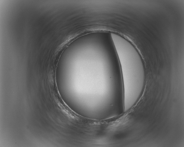 X0000081350345200701111112
