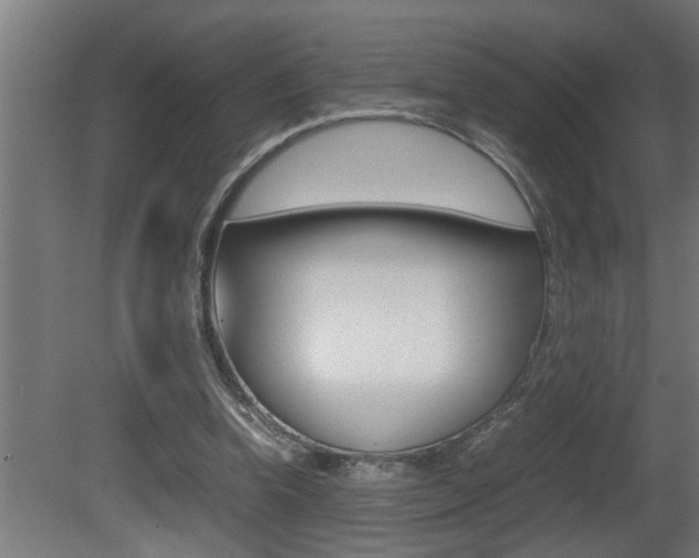 X0000081350346200701111112