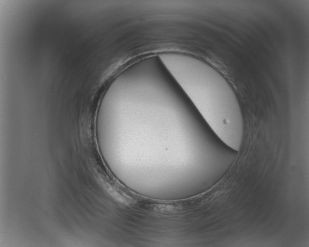 X0000081350347200701111112