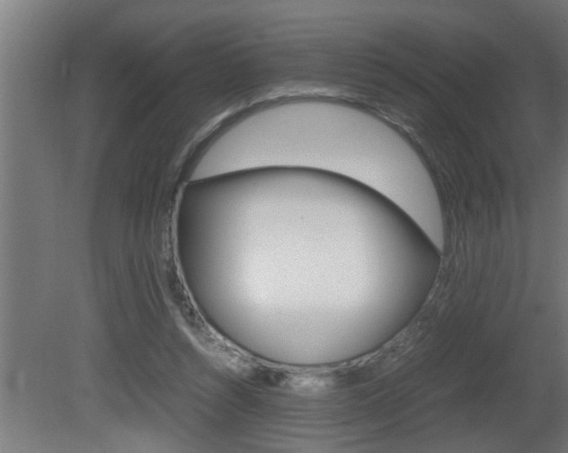 X0000081350352200701111112