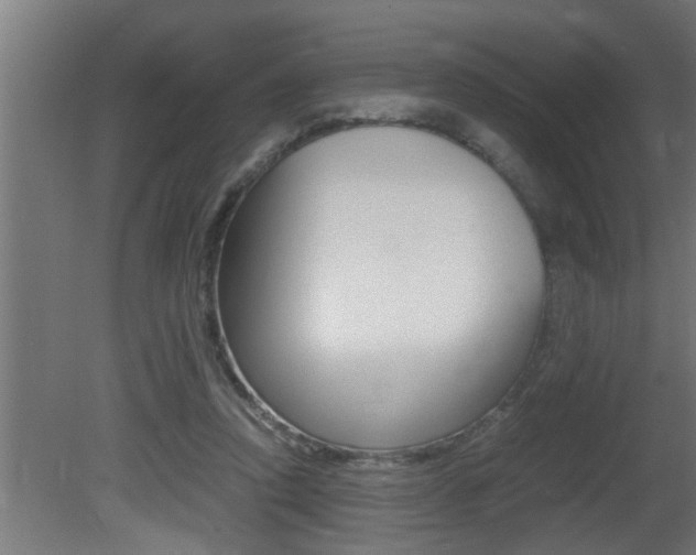 X0000081350354200701111112