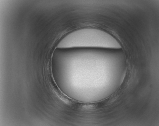 X0000081350357200701111112