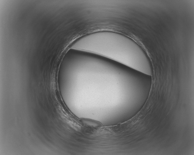 X0000081350386200701111112
