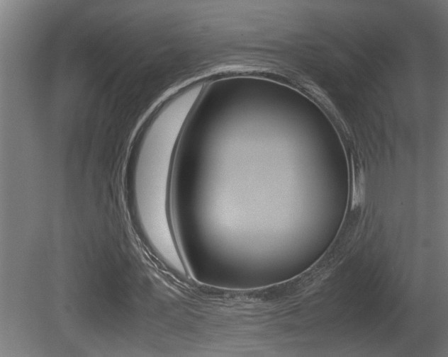 X0000081350387200701111112
