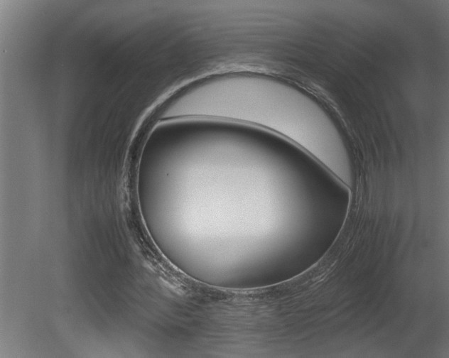 X0000081350388200701111112