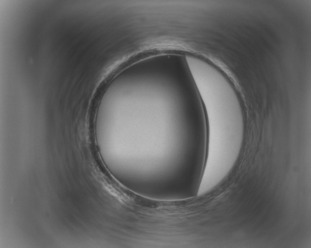 X0000081350391200701111112