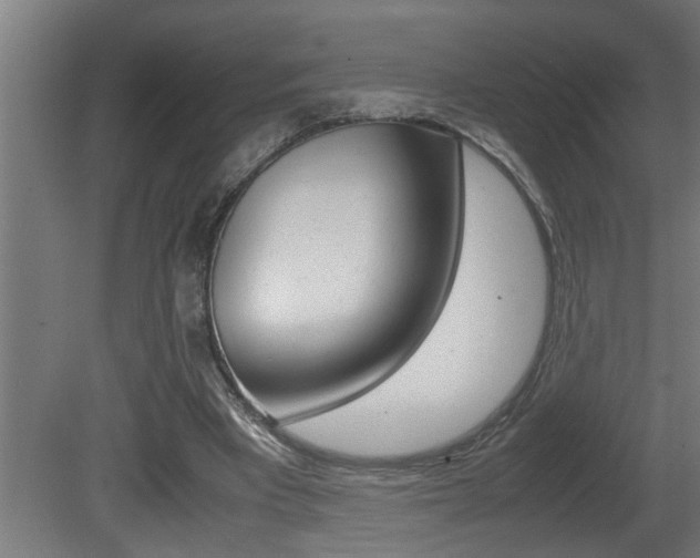X0000081350393200701111112