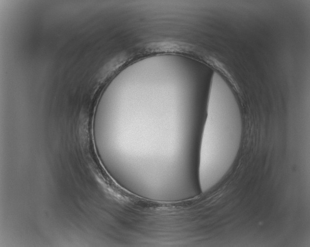 X0000081350394200701111112