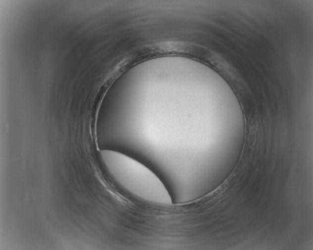 X0000081350398200701111111