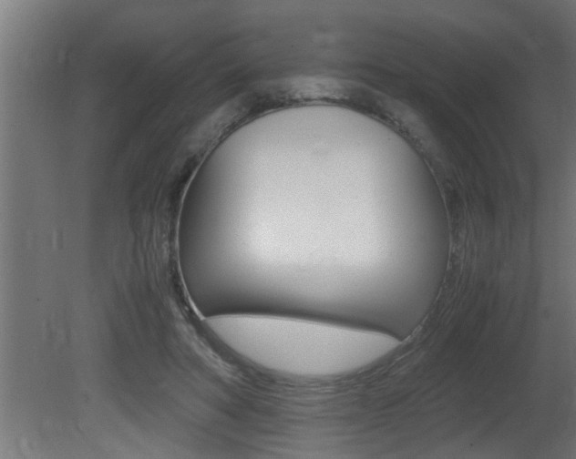 X0000081350402200701111111
