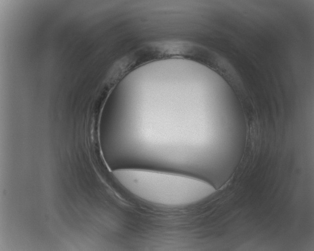 X0000081350406200701111111