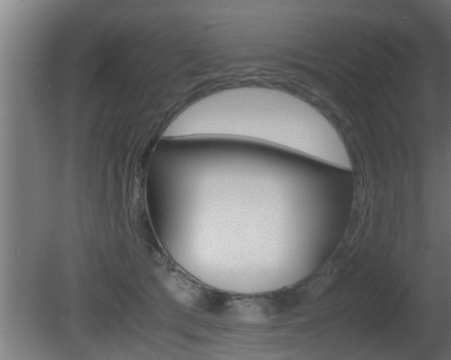 X0000081350417200701111111