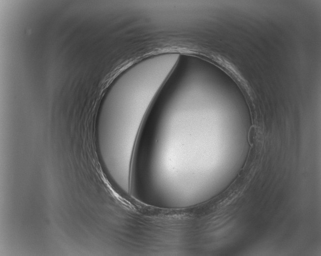 X0000081350433200701111110