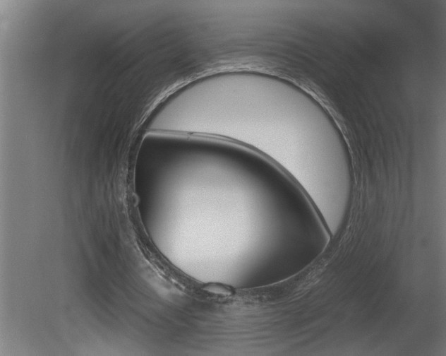 X0000081350434200701111110
