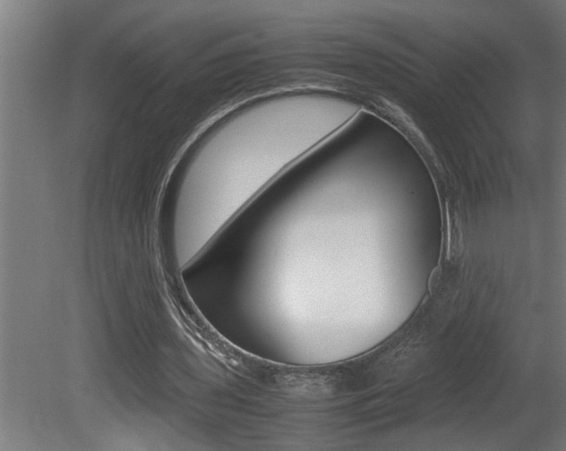 X0000081350435200701111110