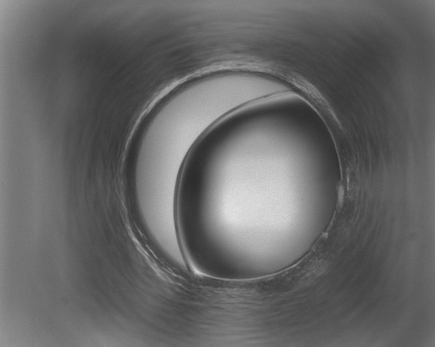 X0000081350436200701111110