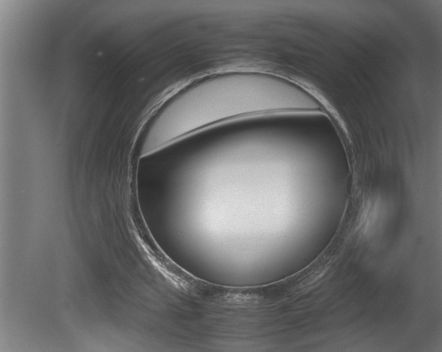 X0000081350437200701111110