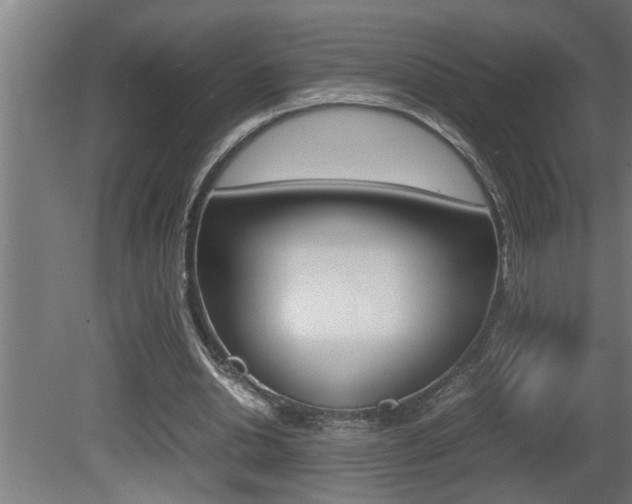 X0000081350438200701111110