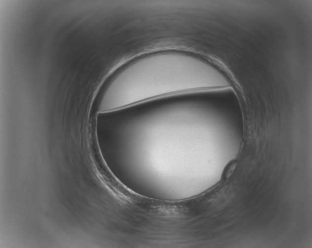 X0000081350439200701111110