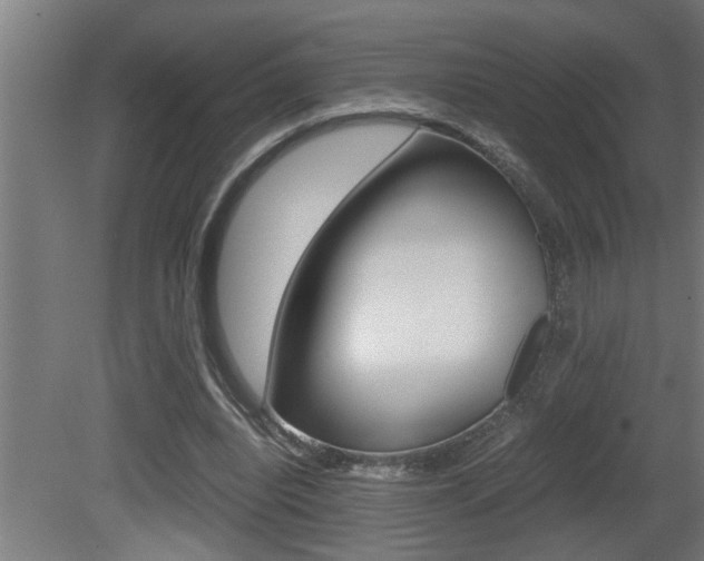 X0000081350440200701111110