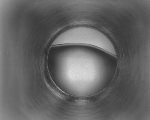 X0000081350448200701111110