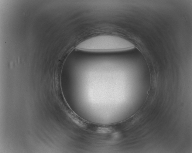 X0000081350457200701111110