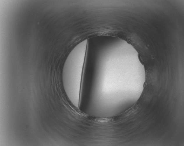X0000081350479200701111111