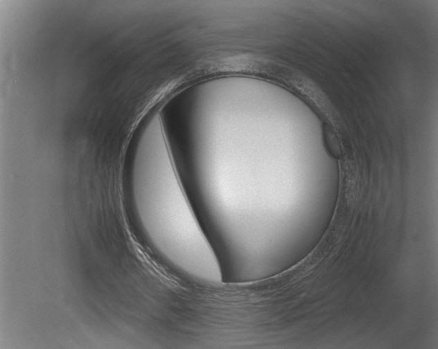 X0000081350482200701111110