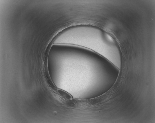X0000081350483200701111110