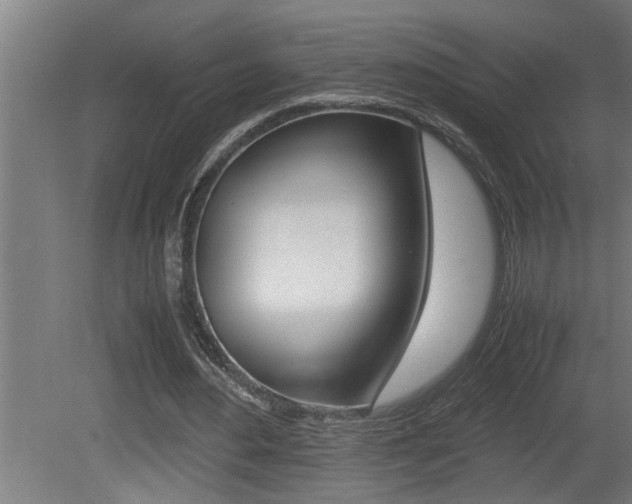 X0000081350484200701111110