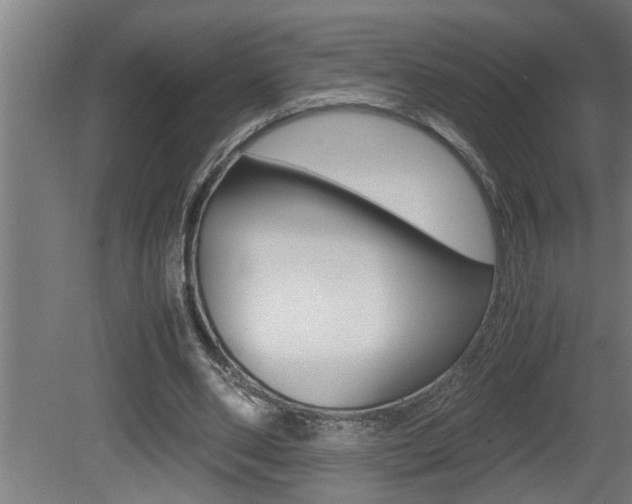 X0000081350486200701111110