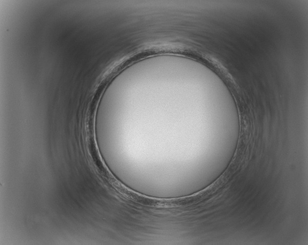 X0000081350487200701111110