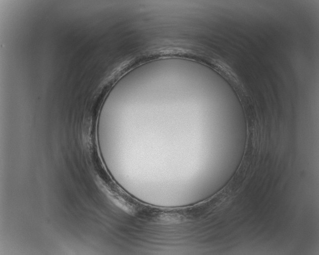 X0000081350490200701111110